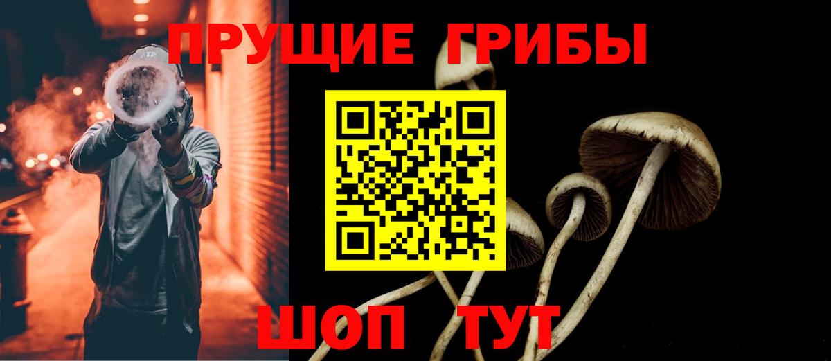 Псилоцибиновые грибы Psilocybe  Вход с VPN  Псилоцибиновые грибы Magic Shrooms  Рязань 